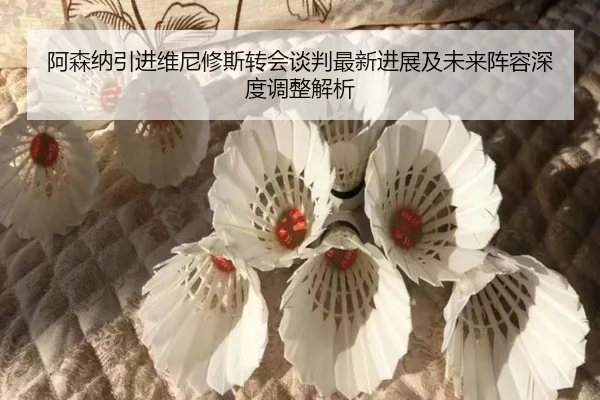 阿森纳引进维尼修斯转会谈判最新进展及未来阵容深度调整解析